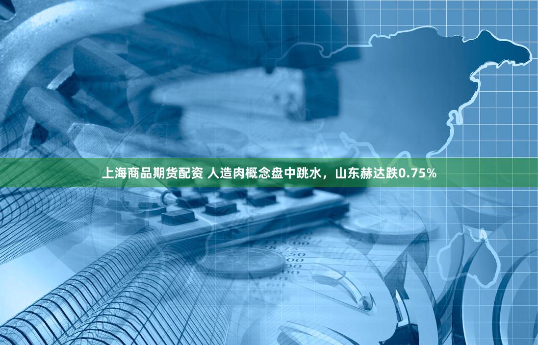 上海商品期货配资 人造肉概念盘中跳水，山东赫达跌0.75%