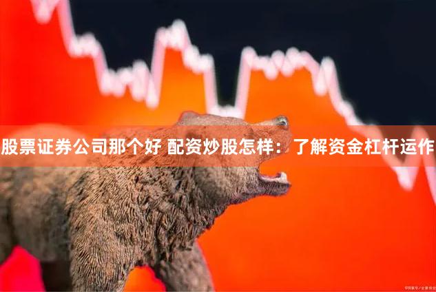 股票证券公司那个好 配资炒股怎样：了解资金杠杆运作