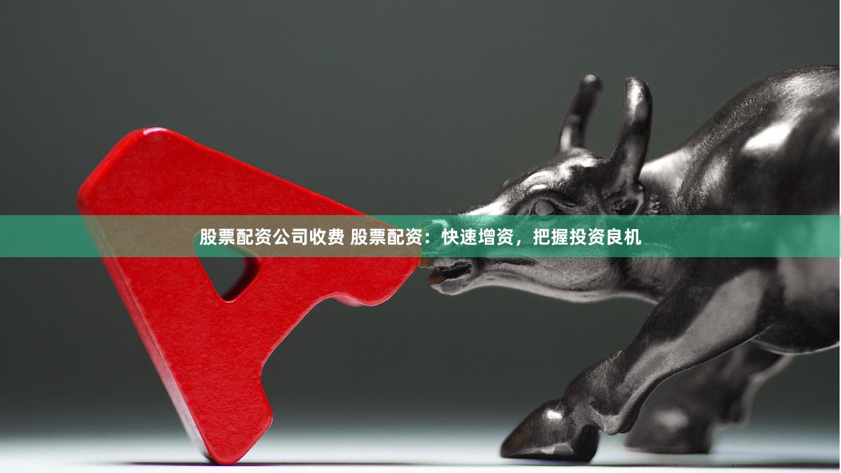 股票配资公司收费 股票配资：快速增资，把握投资良机